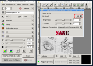 A detail of the "Advanced Options" Xsane window.